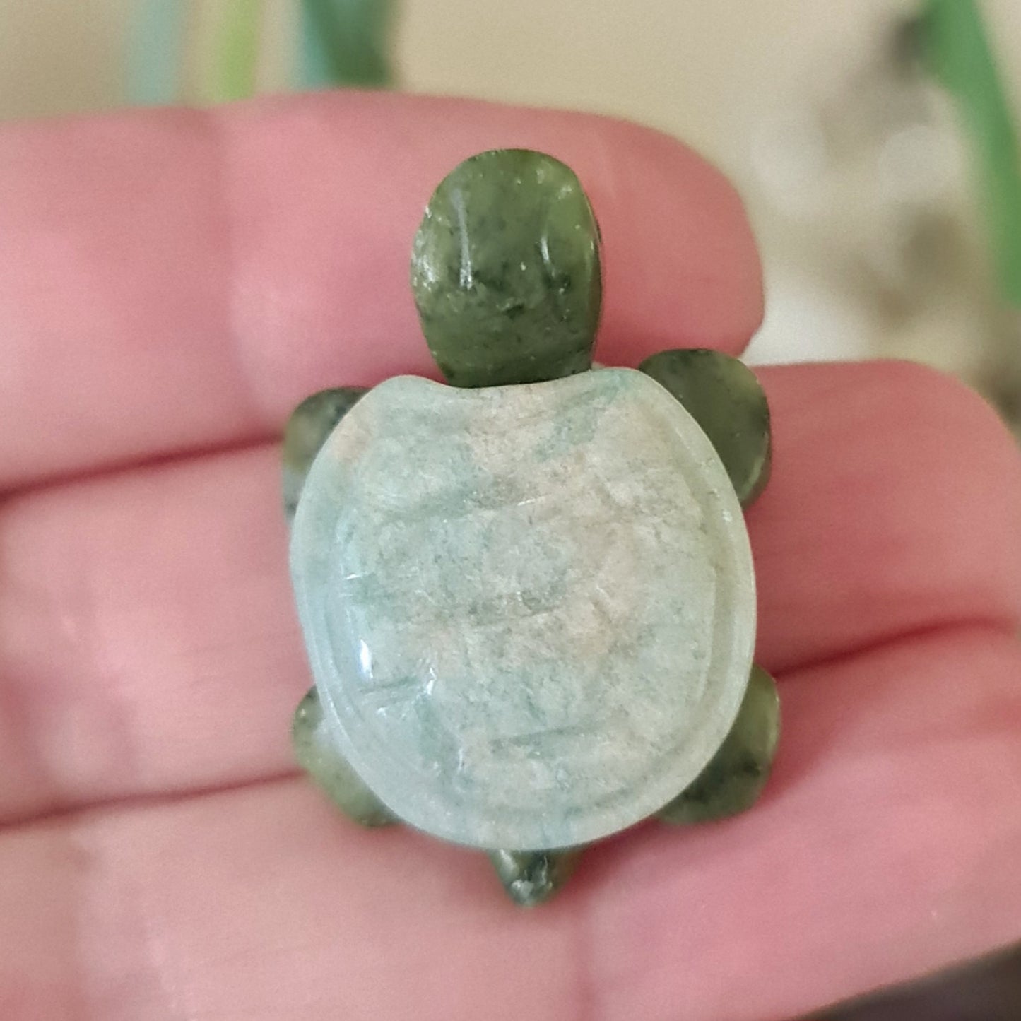 Amazonite Turtle