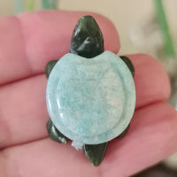 Amazonite Turtle