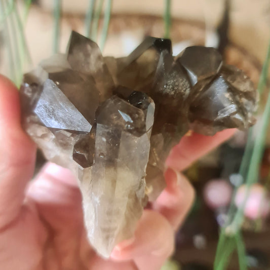 Smoky Quartz Cluster