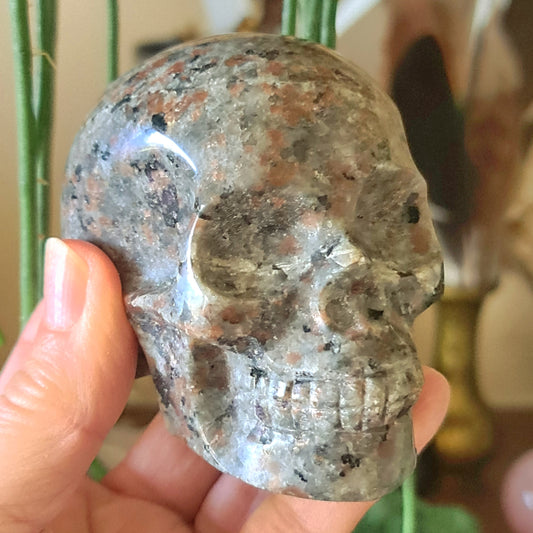 Yooperlite Skull