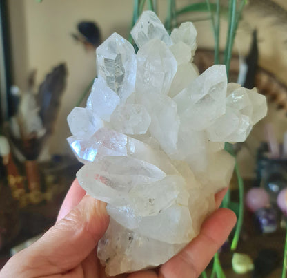 Clear Quartz Cluster 580Gm