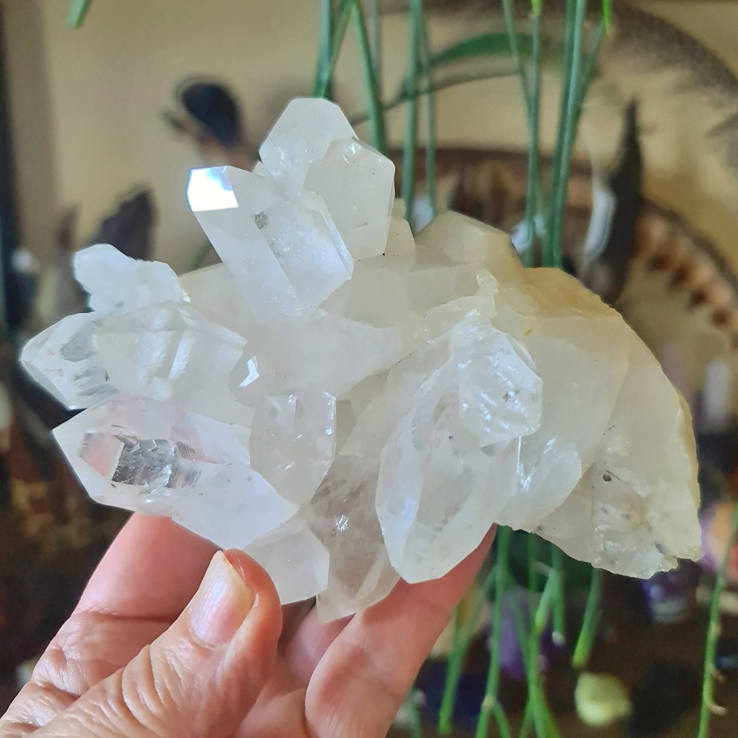 Clear Quartz Cluster 580Gm