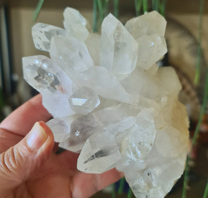 Clear Quartz Cluster 580Gm