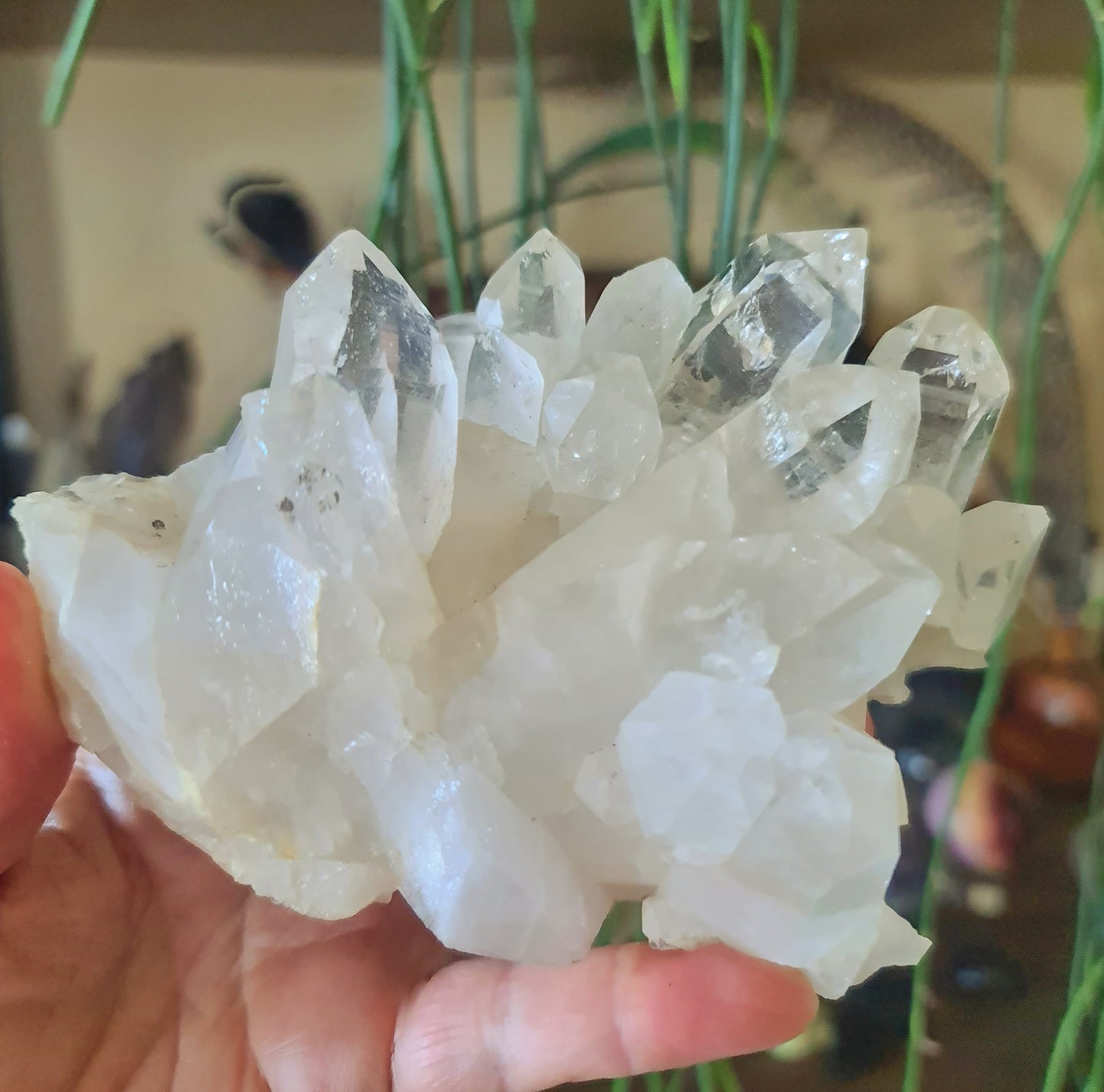 Clear Quartz Cluster 580Gm