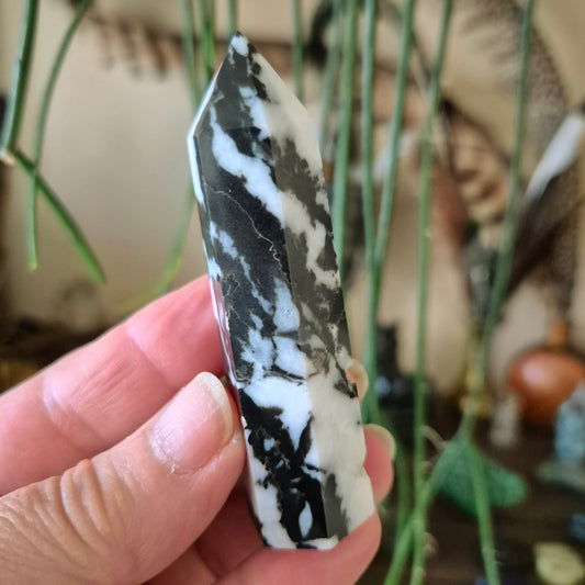 Zebra Jasper Point