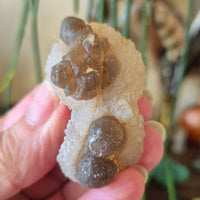 Chalcedony Cluster