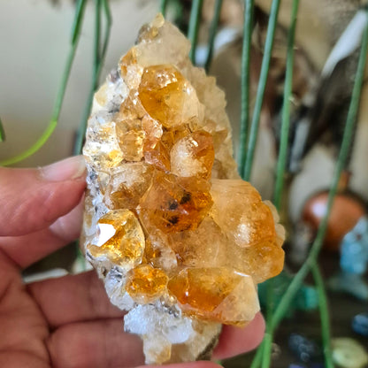 Citrine Cluster