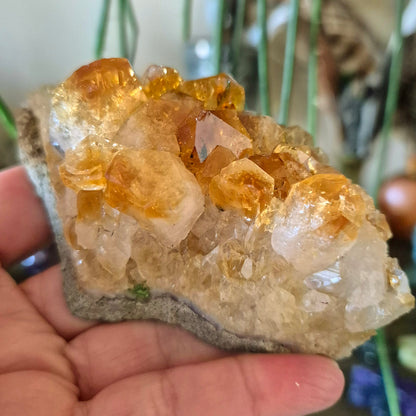 Citrine Cluster