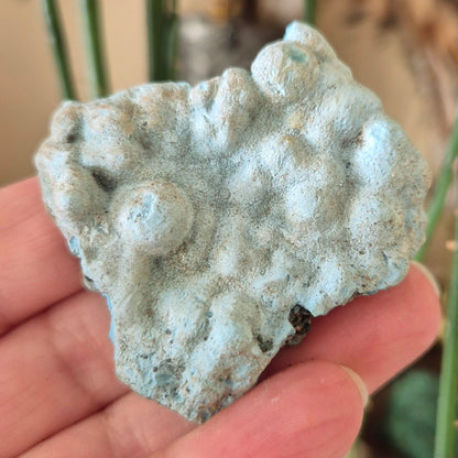 Larimar Specimen