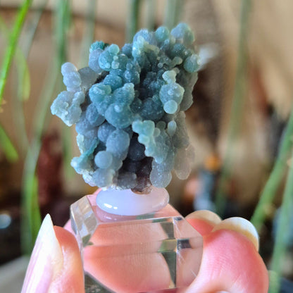 Grape Agate Specimens