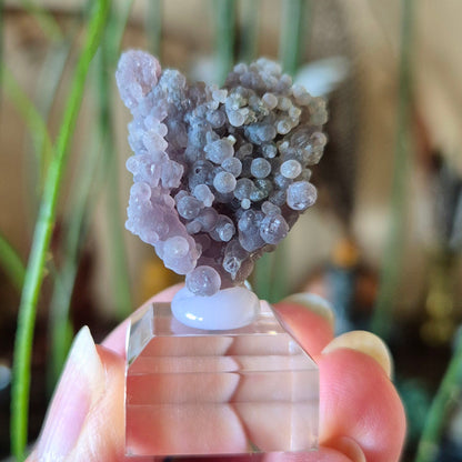 Grape Agate Specimens