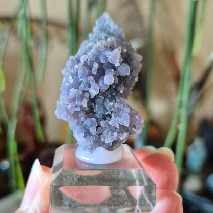 Grape Agate Specimens