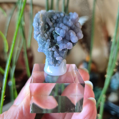 Grape Agate Specimens