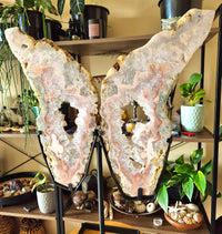 Pink Amethyst Angel Wings