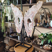 Pink Amethyst Angel Wings