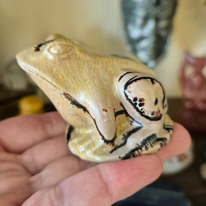 Picture Jasper Frogs