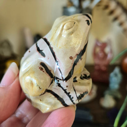 Picture Jasper Frogs