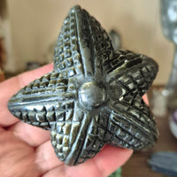 Gold Sheen Obsidian Starfish