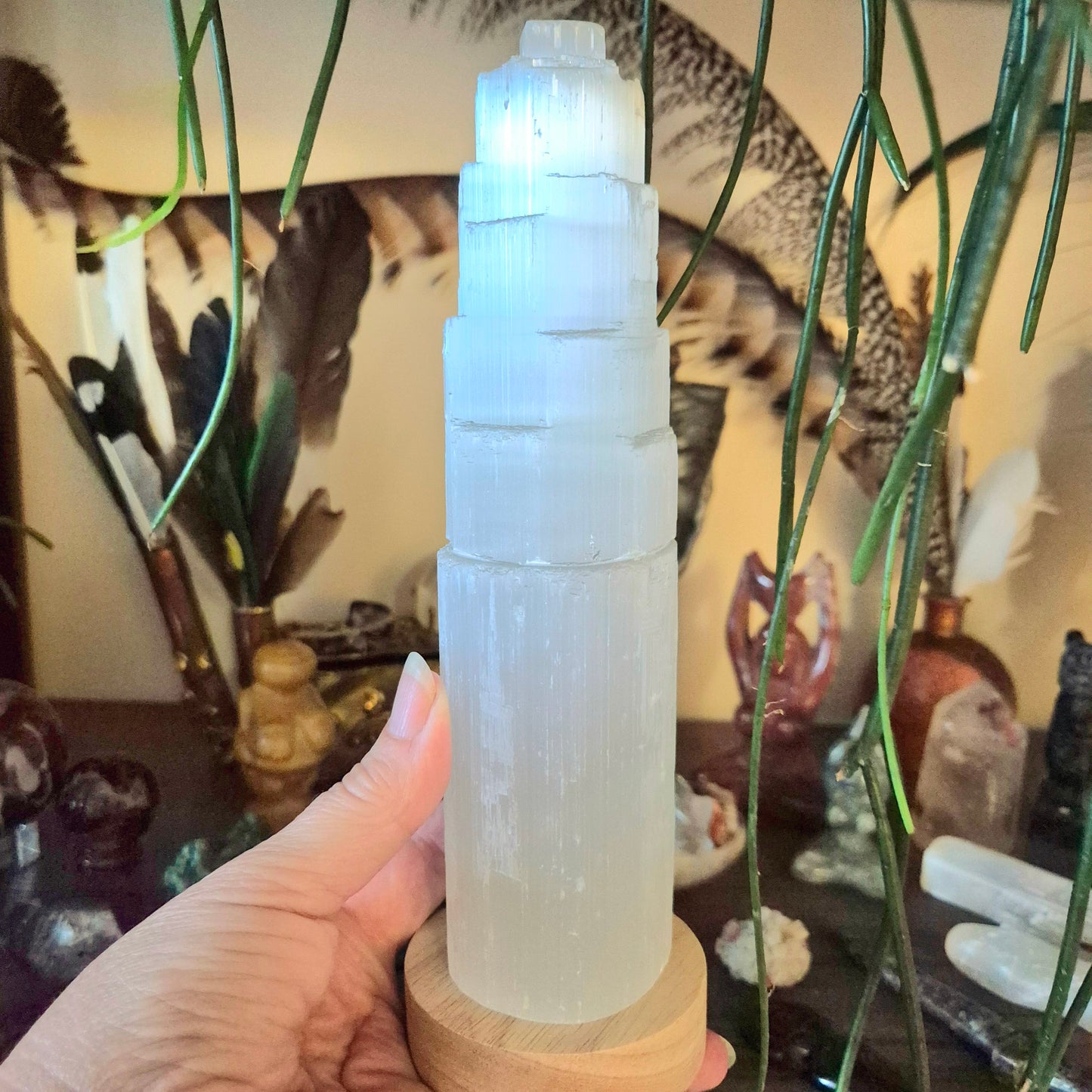 Selenite Lamp