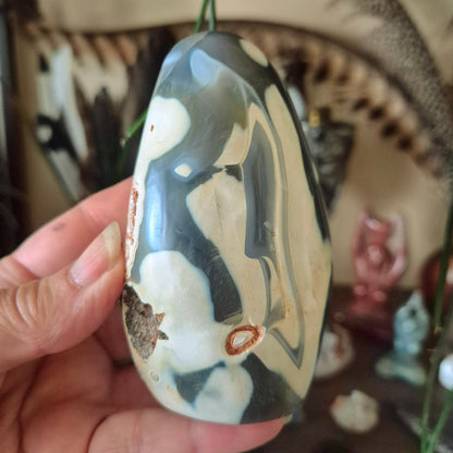 Orca Agate Freeform