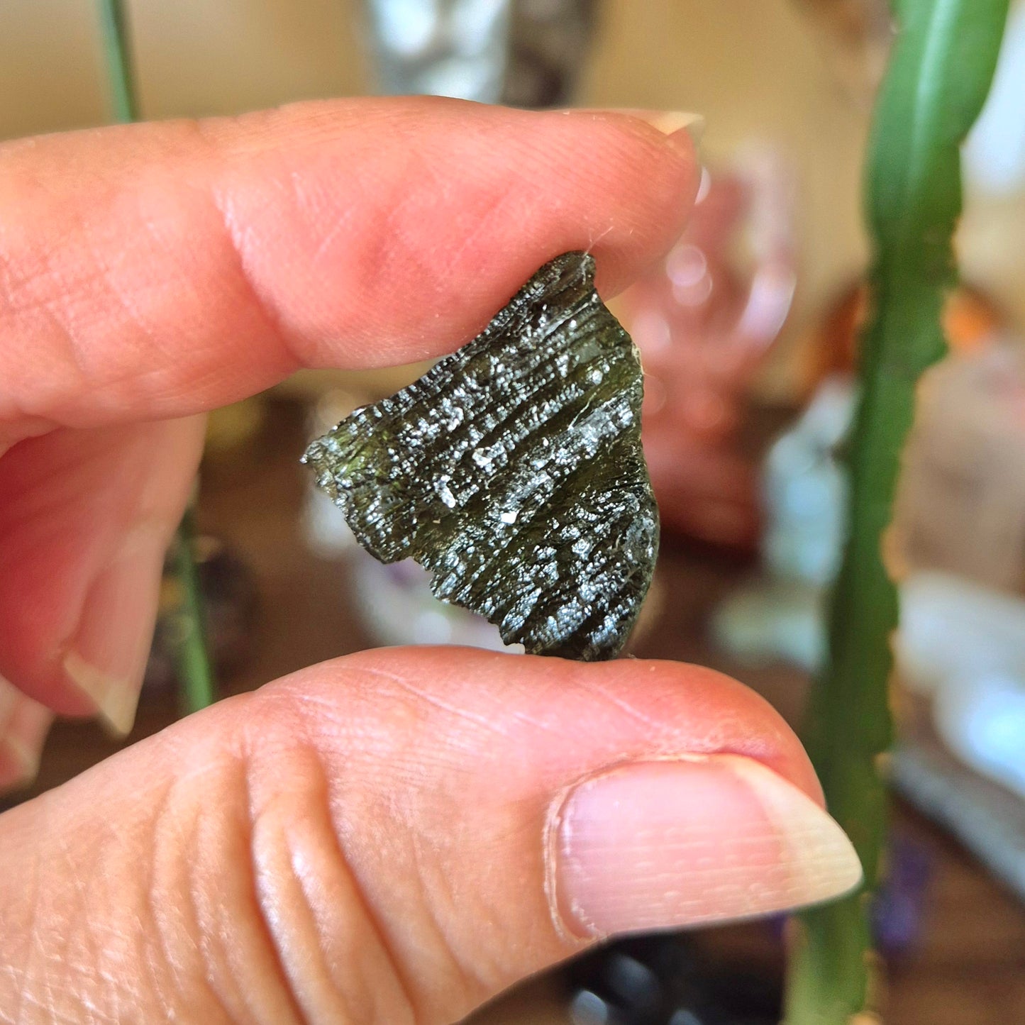 Moldavite Specimen 5gm