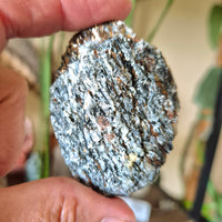 Astrophyllite Palm Raw