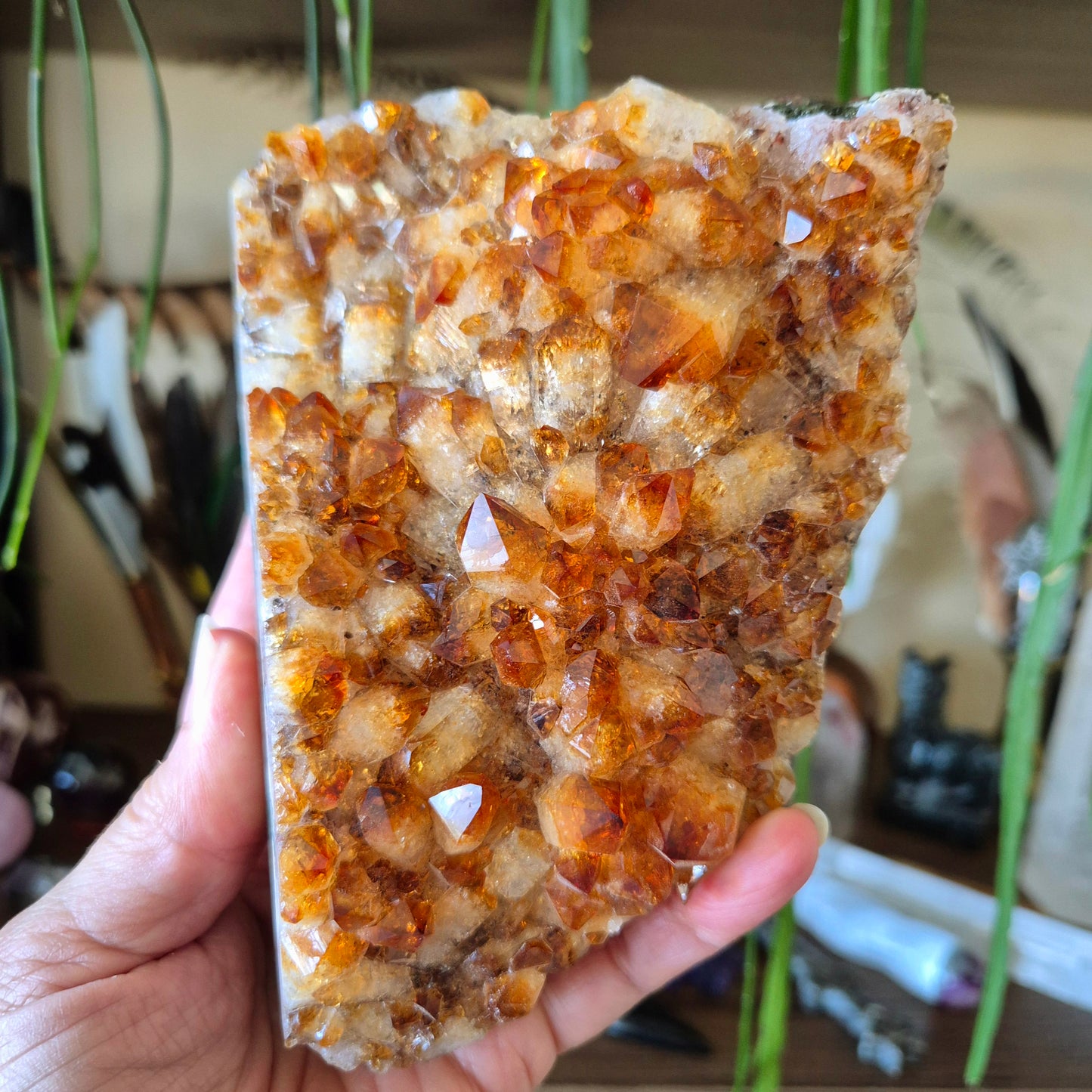 Citrine Cluster 950Gm