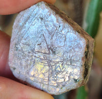 Corundum Ruby Record Keepers
