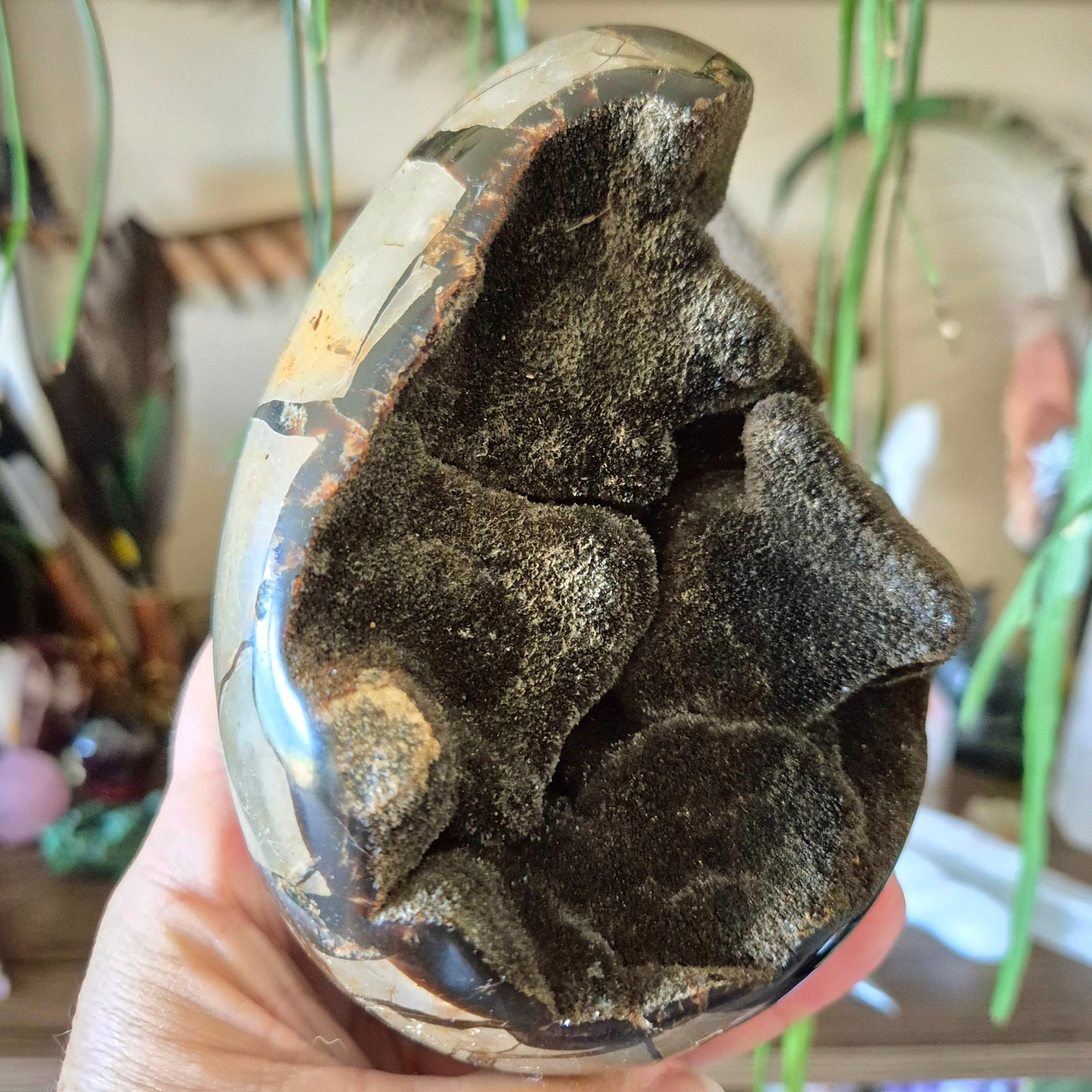 Septarian Cluster Egg 1.08Kg