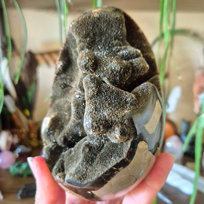 Septarian Cluster Egg 1.08Kg