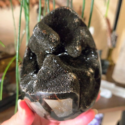 Septarian Egg 1.66Kg