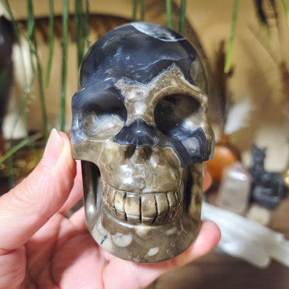 Volcano Agate Skull 740Gm