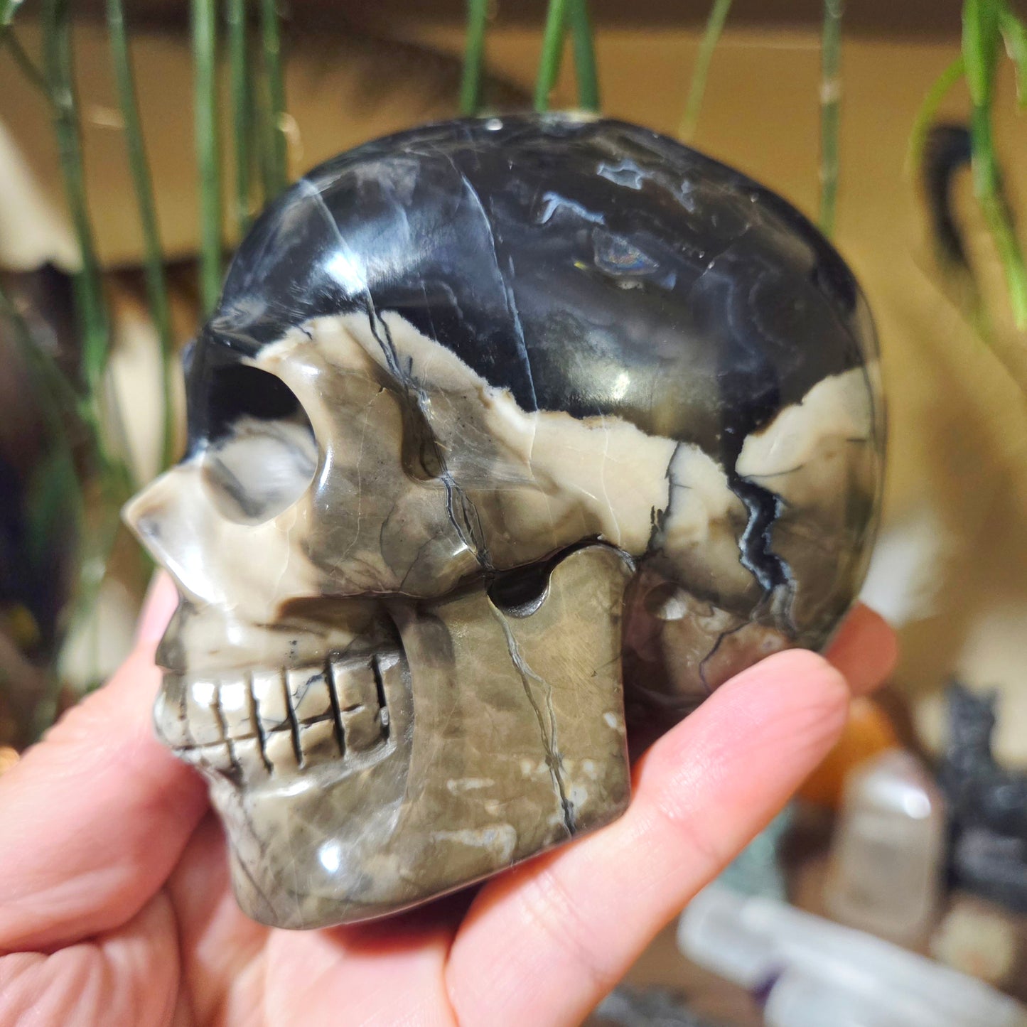 Volcano Agate Skull 700Gm