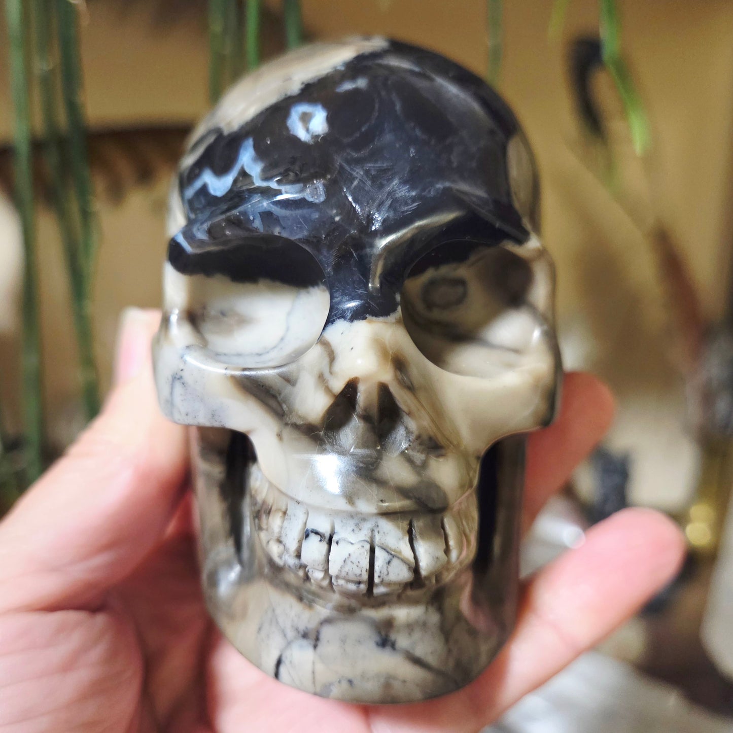 Volcano Agate Skull 700Gm