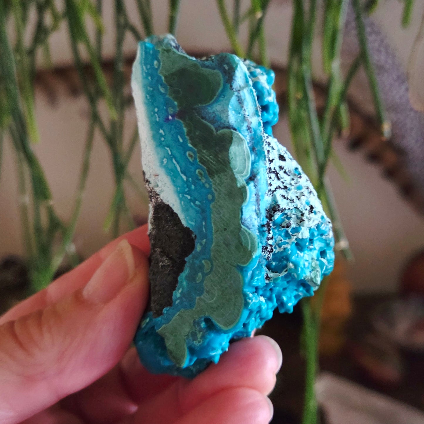 Chrysocolla Freeform