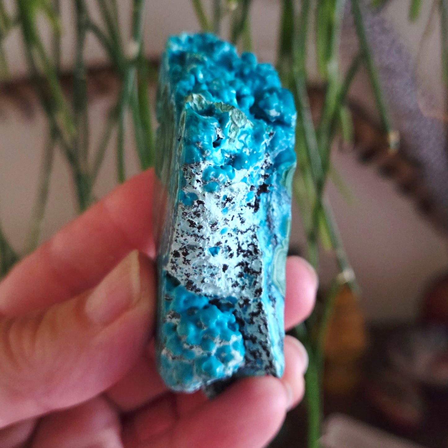 Chrysocolla Freeform