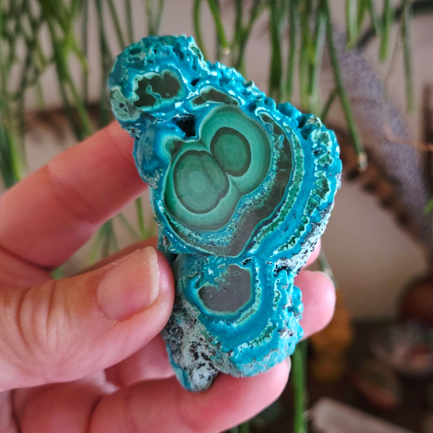 Chrysocolla Freeform