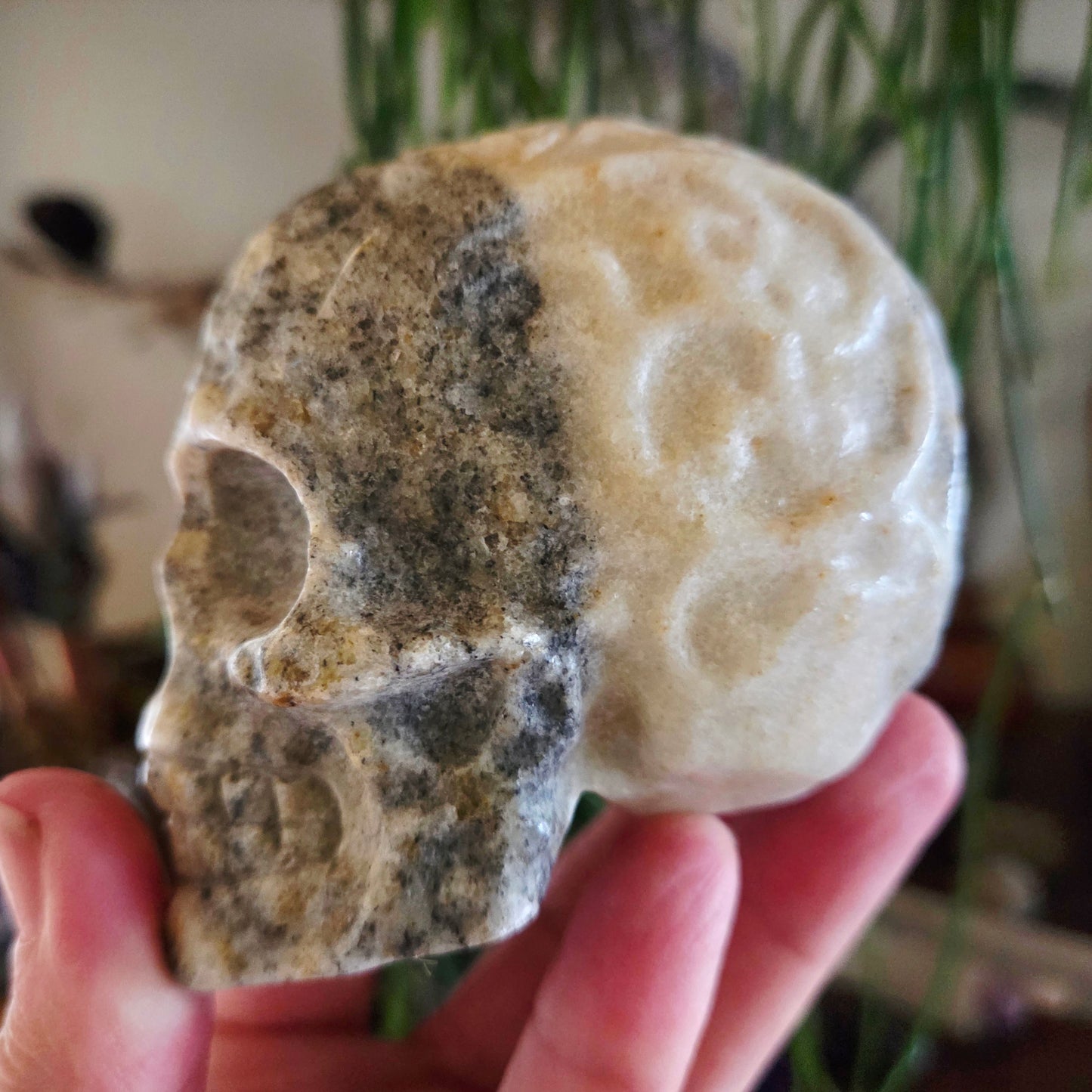 Calcite Skull