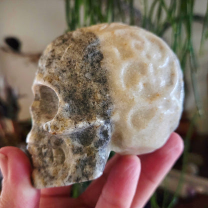Calcite Skull