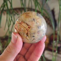 Crazy Lace Agate Sphere