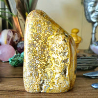 Ocean Jasper Freeform