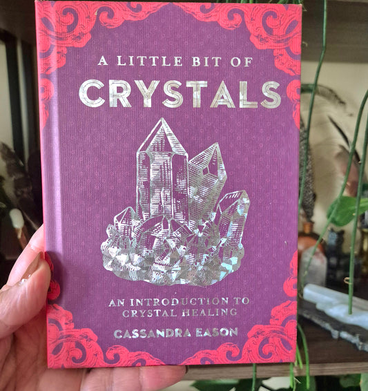 A hand holding a book titled 'A Little Bit Of Crystals' with an illustration of a crystal on the cover.