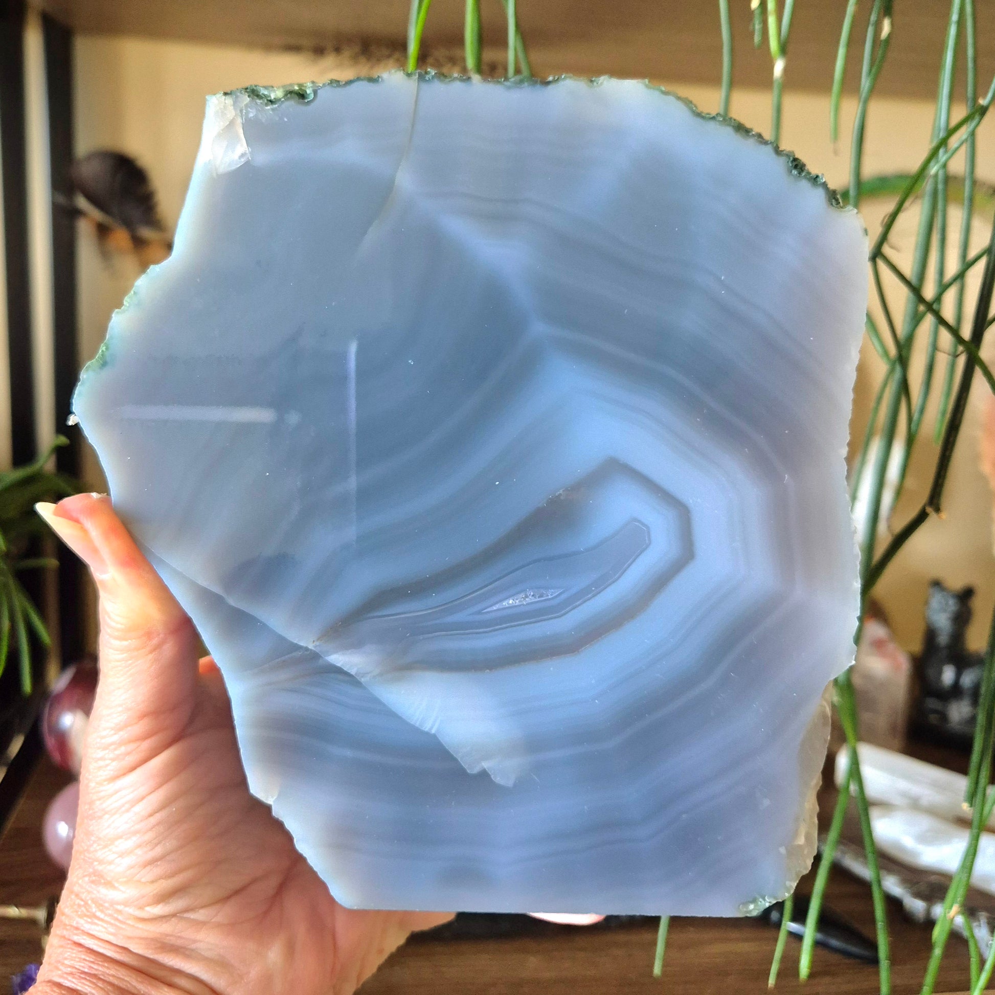 A hand holding a polished agate freeform with a blue and white marbled pattern, with a plant in the background.