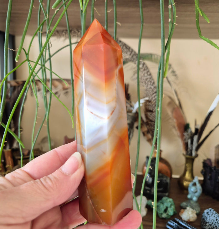 A hand holding a Agate Tower, which is a polished agate gemstone with a conical shape and a warm color palette, placed against a backdrop of various decorative items.