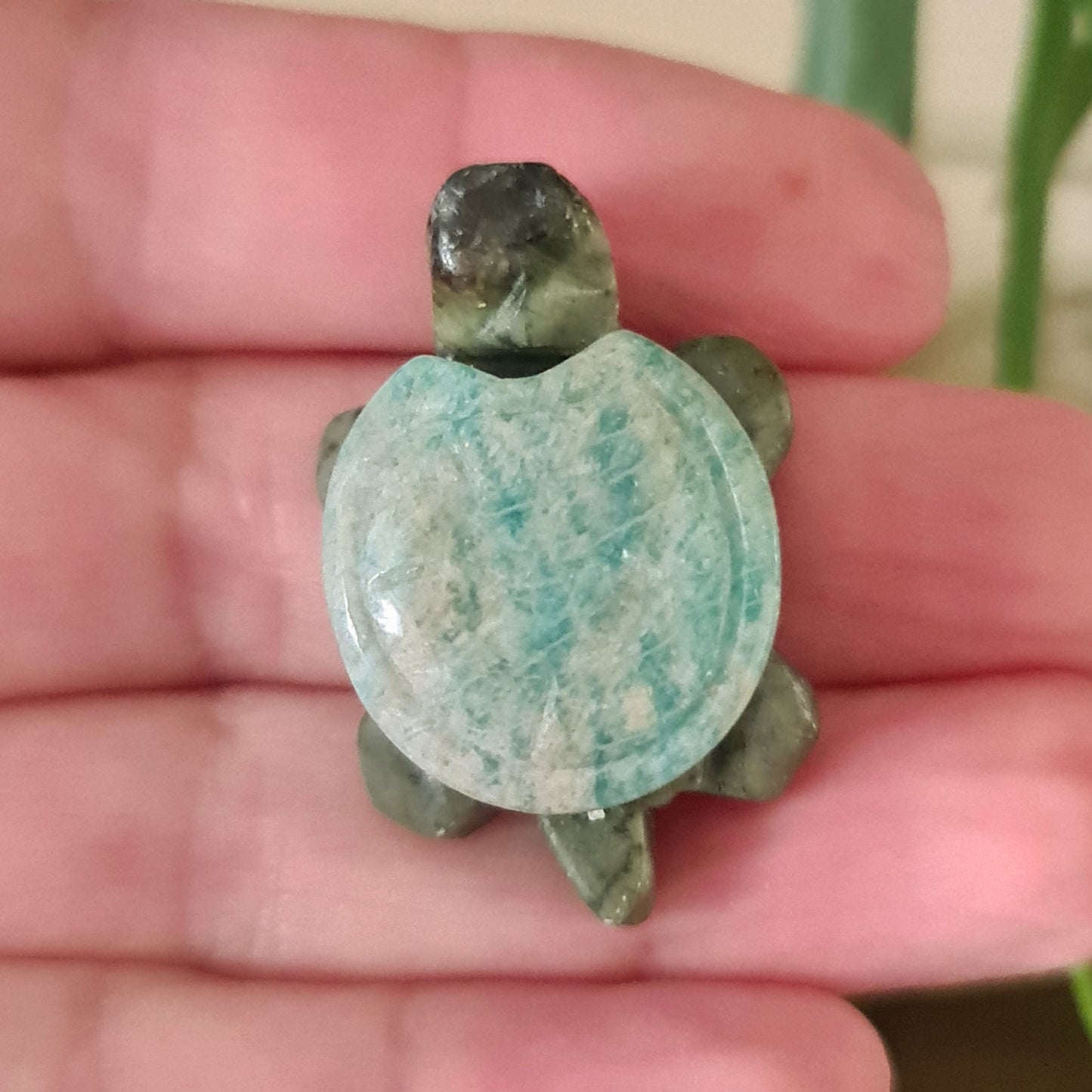 A polished amazonite turtle shell held in a person's hand, with a green and gray color pattern.