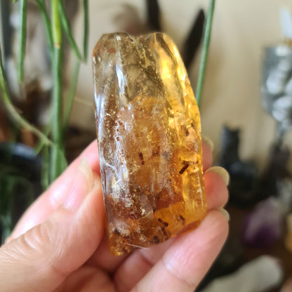 A person holding a small amber specimen with a yellowish hue.
