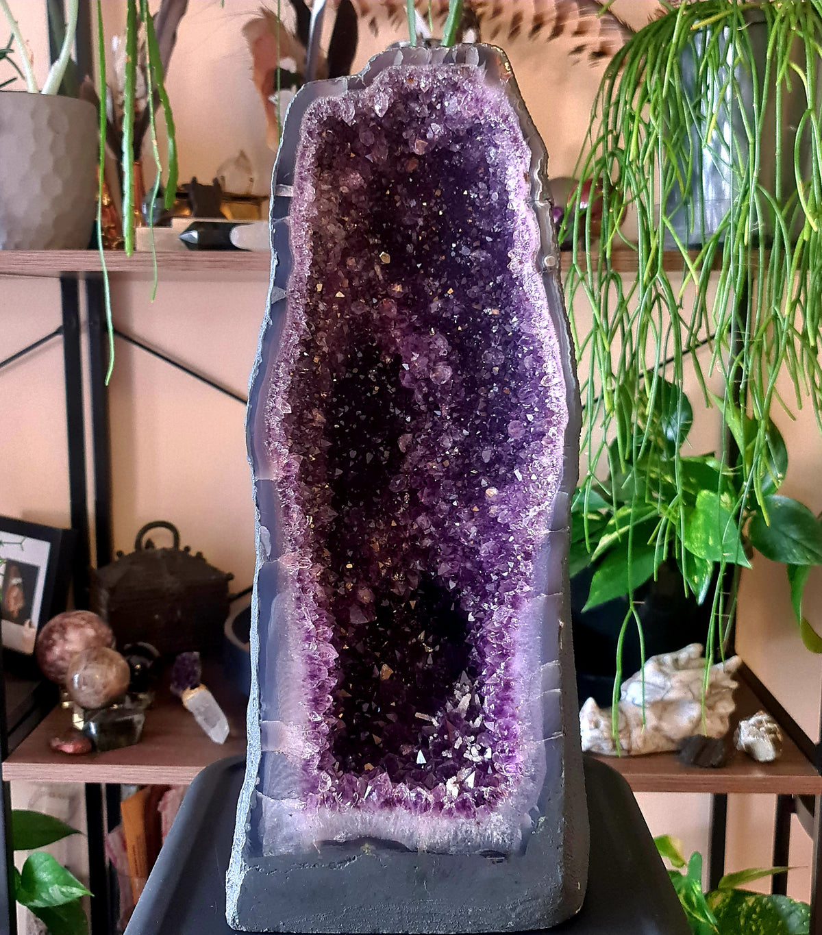 An amethyst geode cave displayed on a shelf, with a purple hue and natural crystals visible inside.