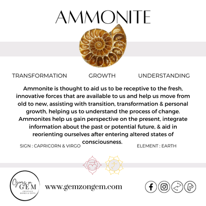 Ammonite Ring Size 8