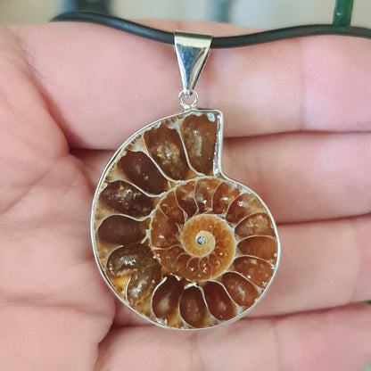 A silver pendant featuring a fossilized ammonite displayed against a black background, held by a necklace.