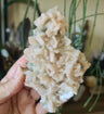 Apophyllite & Stilbite Cluster